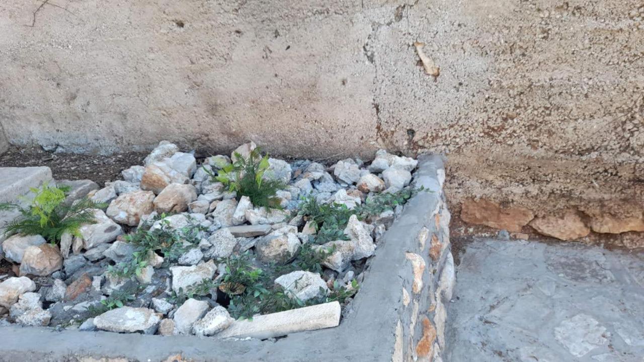 Sunny Apartments Mara Dubrovnik Ngoại thất bức ảnh